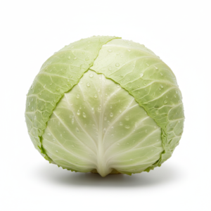 Cabbage White 1piece