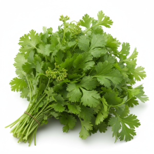 Coriander 100G