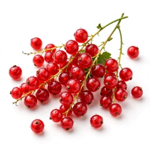 Red Currant